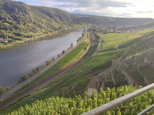Moselterrassen mit Weinanbau